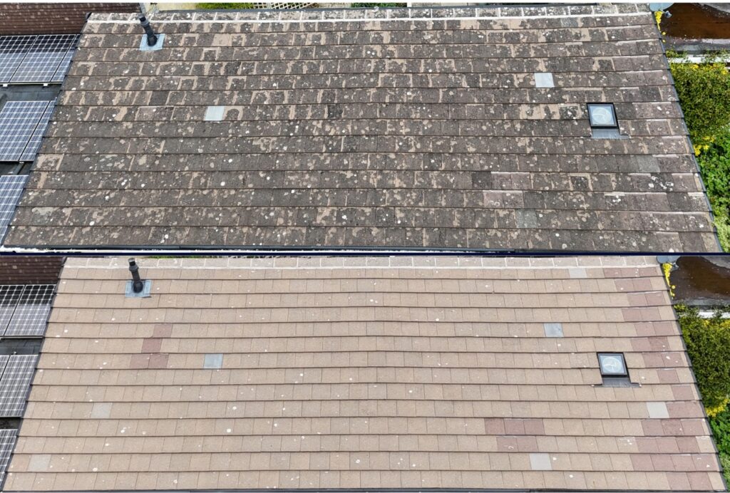 Tile Roof Cleaning​​